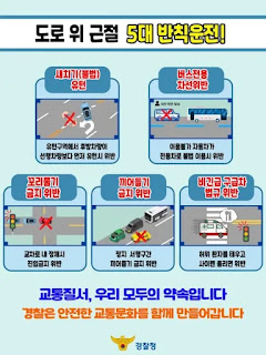 5대 반칙운전 단속1