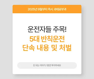 5대 반칙운전 단속 썸네일