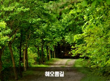 해오름길