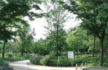 활엽수원