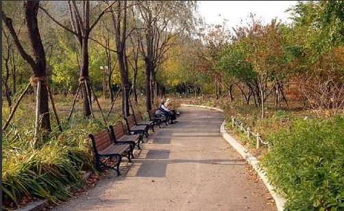 대구수목원-관람길