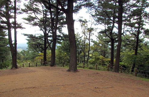 산림욕장
