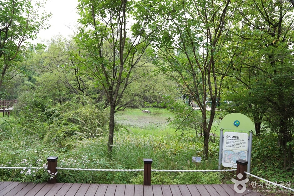 물향기수목원-자연