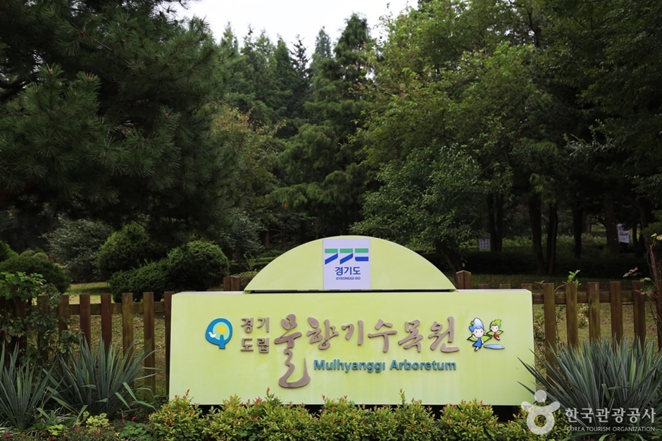 물향기수목원1