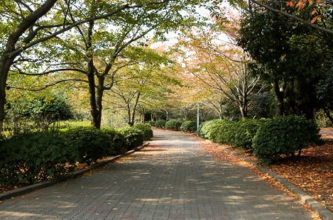 야외-산책로