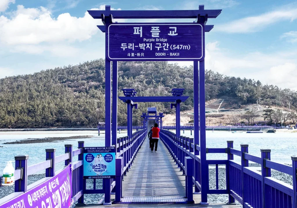 퍼플교