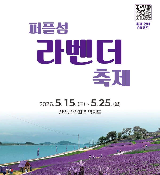 신안-퍼플섬-라벤더-축제