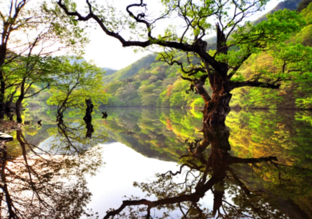 주산지
