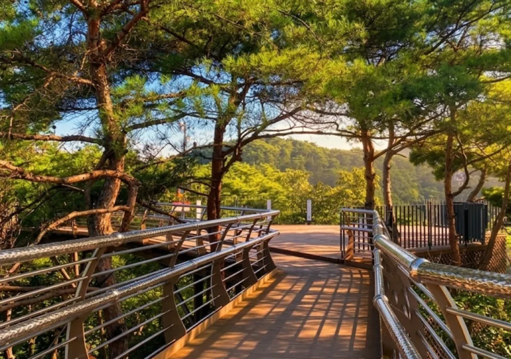 소금산-데크-산책로